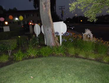 Professional Groundworks Photos