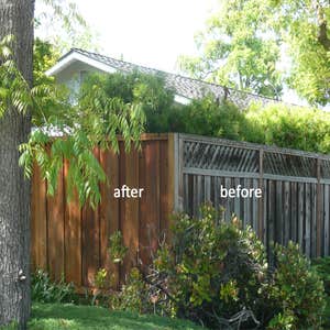 Photos by Tony Addy's Building Services Inc #1