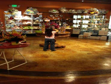 Staintec Project 1 We Specialize in Decorative Concrete, Concrete Restoration and Concrete Flooring