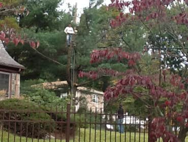 Works by Final Touch Tree Serv