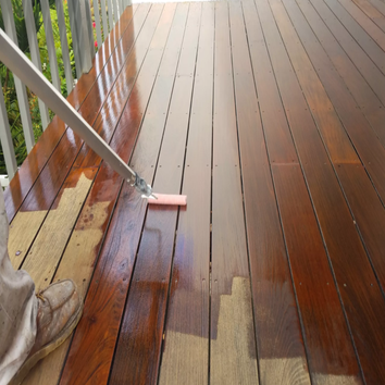 Photos from David's West Coast Painting