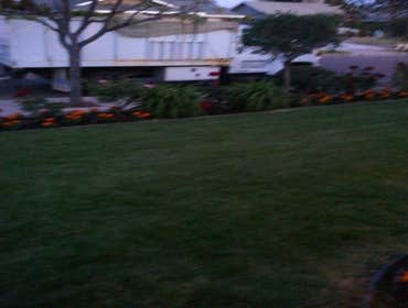 Playa Landscaping Inc Project