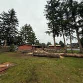 Photos by The Treeman Generation LLC #1