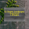 EsScapes Rehab & Renovations logo
