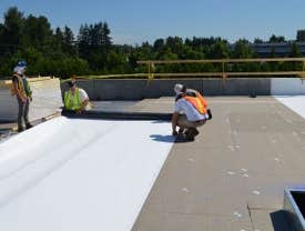 Flat roof