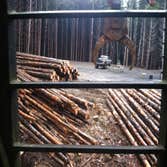 Photo(s) from Nw Core Construction Llc Clearing land for a new natural gas pad. Logging, processing and shipping out the wood.