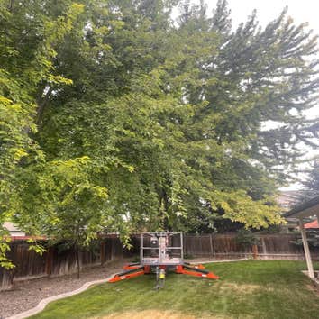 Advanced Contracting Tree Service