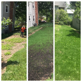 AP Landscapers, Lawn Care & Landscaping Service