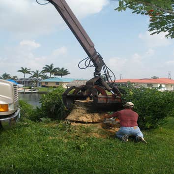 Tim's Tree Service