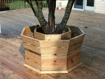 live tree deck planter