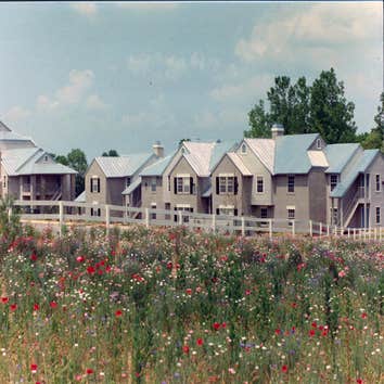 Paul Lebovitz Landscape Architect Project