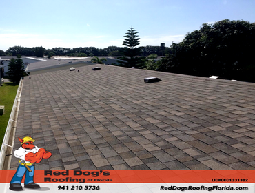 Photos by Red dog's Roofing of Florida #1