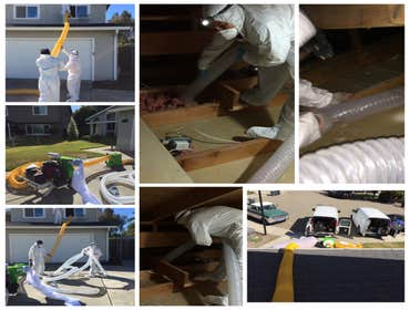 Insulation Cleaning