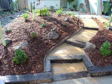 Drought Tolerant: Entrace