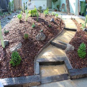 Drought Tolerant: Entrace