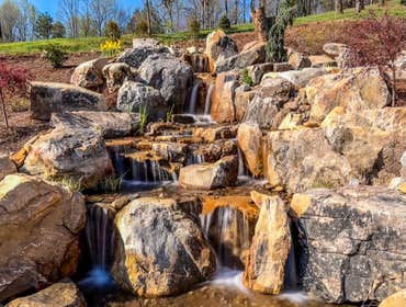 Photos by Black Koi Water Features and Ponds #1