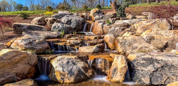 Photos by Black Koi Water Features and Ponds #1