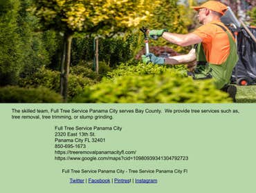 Photos by Full Tree Service Panama City #1
