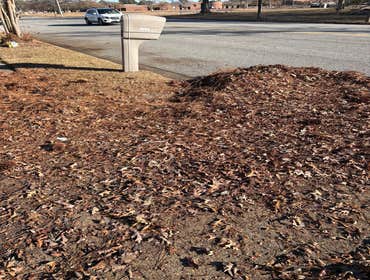 Photos by Beauty Meister Landscaping LLC #2