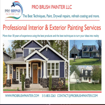 Pro Brush Painter LLC