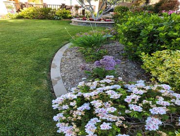 Photos by Mr Ortiz Landscaping Inc #6