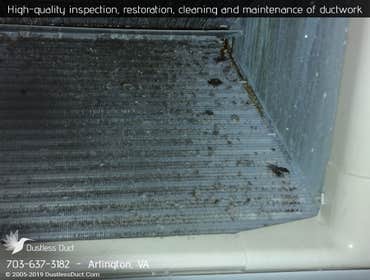 Photos by Dustless Duct #1
