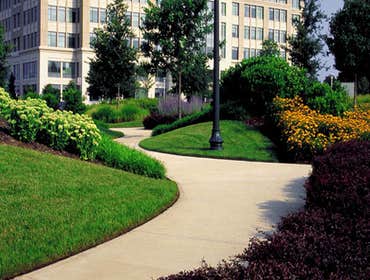 Short Cutter's Inc Project Page Above are pictures of some of the various services that we offer.