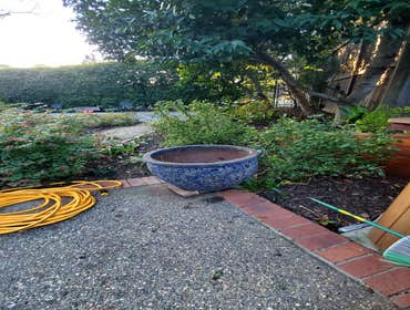 Photos by Tuyub Landscaping #14
