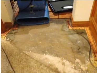 Resto-Medic Photos of an active water damage remediation site. A simple pinhole leak in a water pipe can cause extensive damage if not identified and 