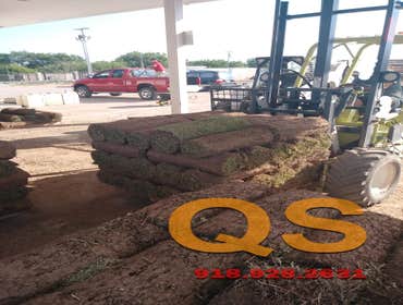 Bermuda Sod Pallet Tulsa