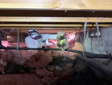 Photos by Premium NW Contractors #1