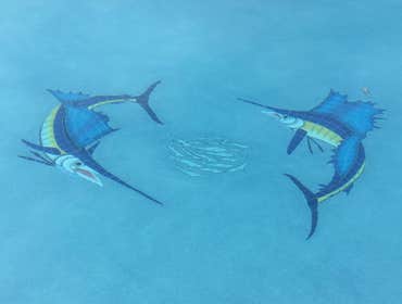 Photos from American Blue Pool And Spas Inc