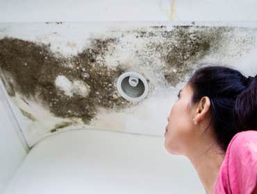 Photos by Murfrees Water Damage Co #1
