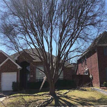Richardson Tree Service Company