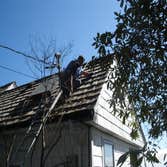 moss removal