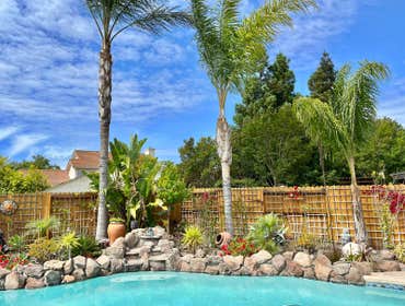Photos by Camilo Tree Service #5