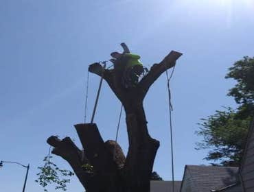 Photos by K&r Tree Service LLC #1