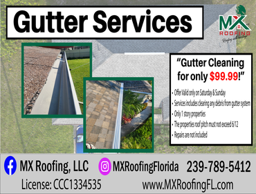 Gutters Services