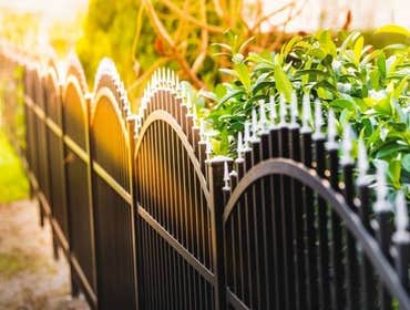 Fences