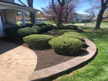 Photos by Ed Francos Simply Green, LLC #1