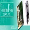 Putnam Petro Clean Inc logo