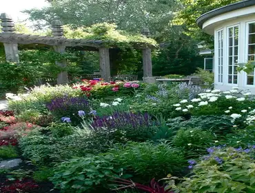 Photos by Chavez Landscaping & Maintenance LLC #1
