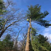 Stewart Tree Service