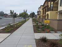 Photos by A Munoz Landscaping #1