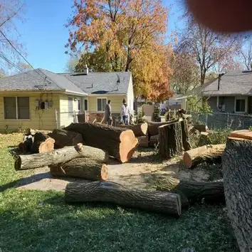 Mid City Tree Service