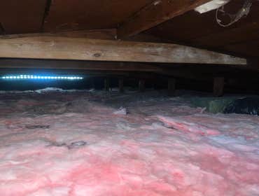 Attic Insulation Replacement & Rodent Treatment