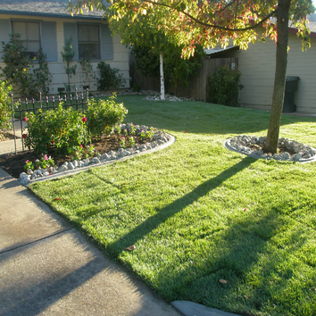 Carmichael landscape Frontyard re-landscape, new sod, curbing, sprinklers
