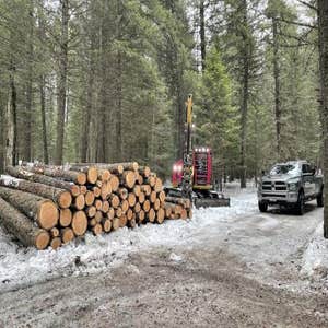 Photos by Next Generation Logging #1
