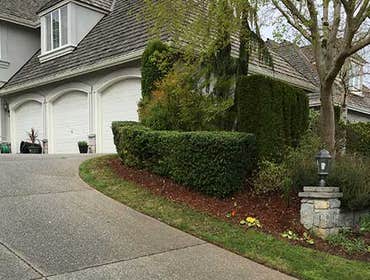 Photos from Newport Landscape Services LLC