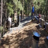 Diamond &4 Brother's Roofing & Waterproofing Services LLC